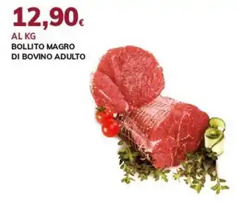 Basko Bollito magro di bovino adulto offerta