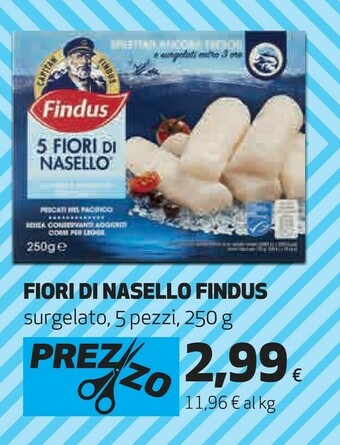 Coop 5 fiori di nasello 250 g(ml) offerta