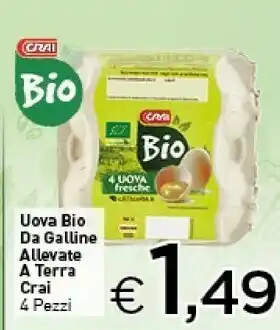 Crai Crai - uova bio da galline allevate a terra offerta