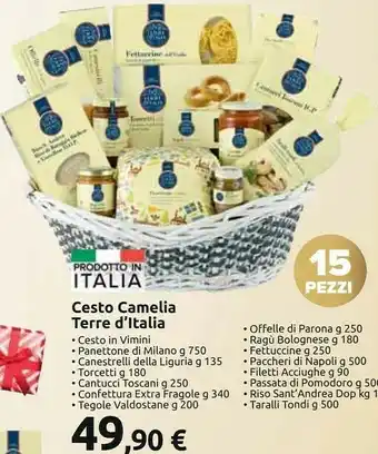 Carrefour Cesto camelia offerta