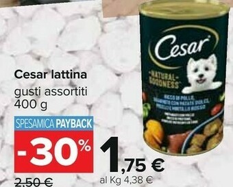 Carrefour Cibo per cani offerta