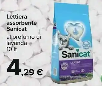 Carrefour Lettiera per gatti offerta