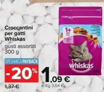 Carrefour Cibo per gatti offerta