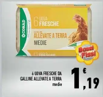 Conad City 6 uova fresche da galline allevatea terra offerta