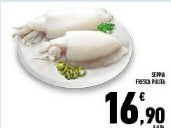 Conad Superstore Seppia fresca pulita offerta