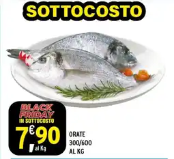 Orate 300/600