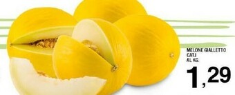 Sigma Melone gialletto offerta