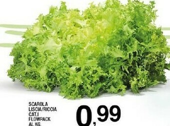 Scarola liscia