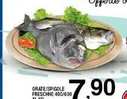Orate spigole fresche