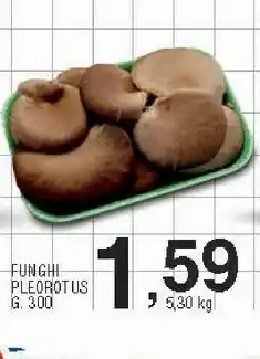 Sigma Funghi pleorot us g 300 offerta