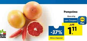 Lidl Pompelmo offerta
