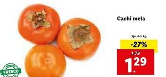 Lidl Cachi mela offerta