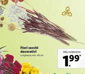 Fiori secchi decorativi lunghezza 40 cm