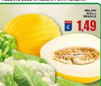 Vivo Supermercati Melone offerta