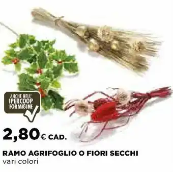 Ipercoop Ramo Agrifoglio o Fiori Secchi offerta