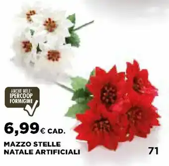 Ipercoop Mazzo Stelle Natale Artificiali offerta