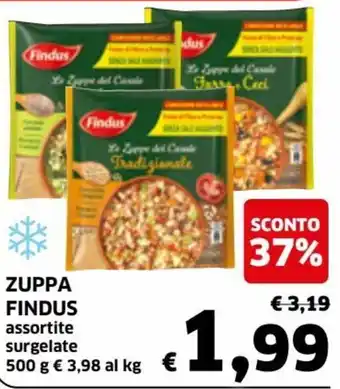 Ecu Discount Findus Zuppa 500g offerta
