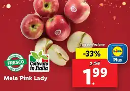 Lidl Mele Pink Lady offerta