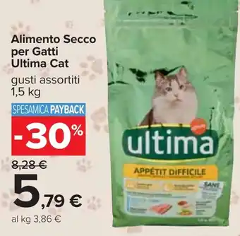 Carrefour Alimento Secco per Gatti Ultima Cat offerta