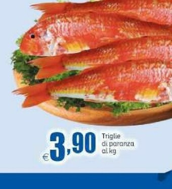 Elite Merluzzo offerta