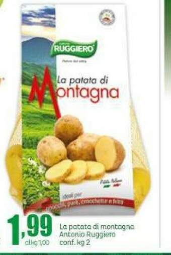 Elite Patate offerta
