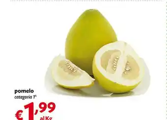 Pam Frutta offerta