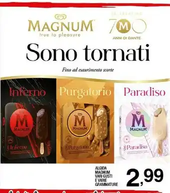 Sigma Magnum offerta