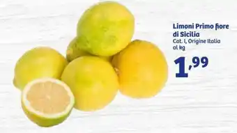 In'S Mercato Limoni Primo fiore di Sicilia offerta