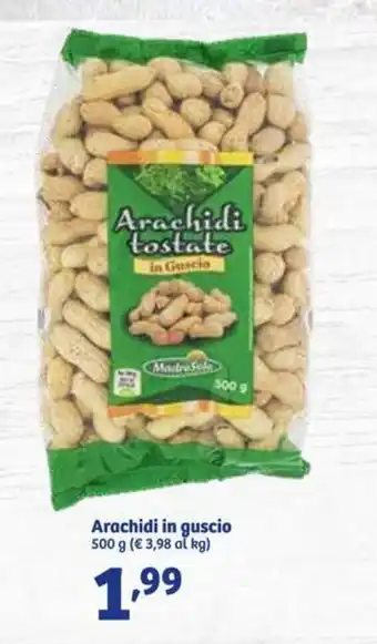 In'S Mercato Madre Sole Arachidi in guscio 500g offerta