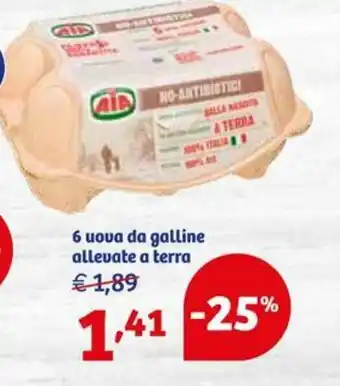 In'S Mercato 6 uova da galline allevate a terra offerta