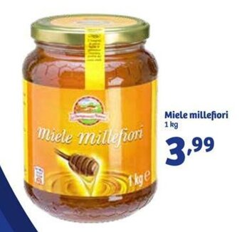 In'S Mercato Miele Millefiori 1kg offerta