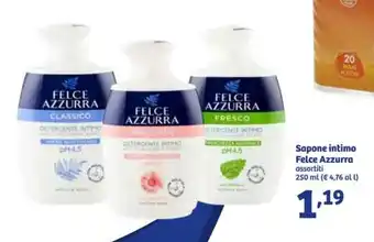 In'S Mercato Felce Azzurra Sapone intimo 250ml offerta