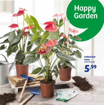 In'S Mercato Anthurium rosso vaso Ø 12 cm offerta