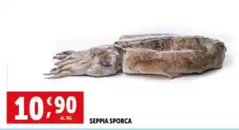 Deco Superfreddo Seppia sporca offerta