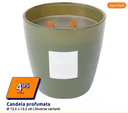 Action Candela profumata offerta
