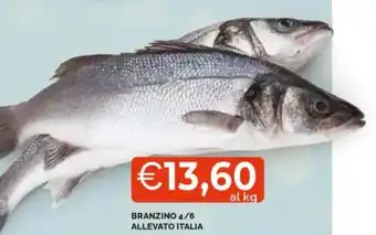 Mercatò Branzino 4/6 allevato italia offerta