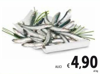 Spazio Conad Alici offerta