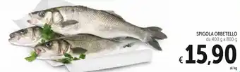 Spigola Orbetello da 400 g a 800 g