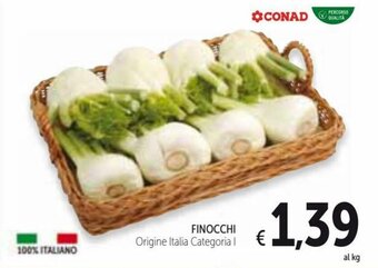 Finocchi