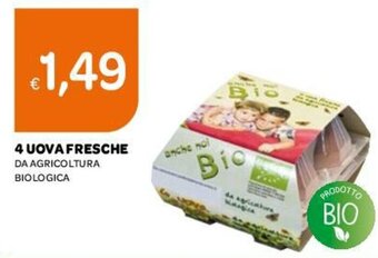 Ekom 4 Uova Fresche offerta