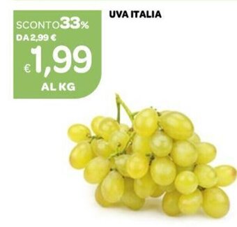 Uva Italia