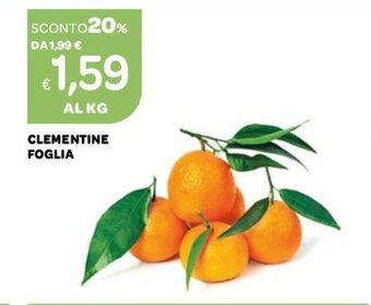 Ekom Clementine Foglia offerta