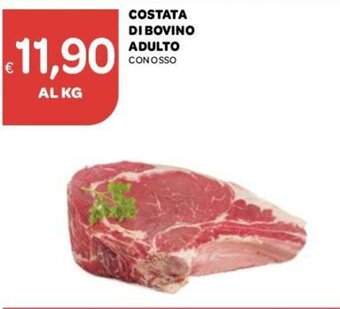 Ekom Costata Di Bovino Adulto offerta