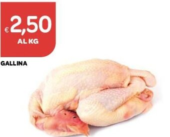 Gallina