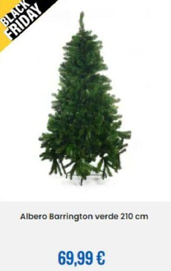 Eurospin Albero Barrington Verde 210 cm offerta