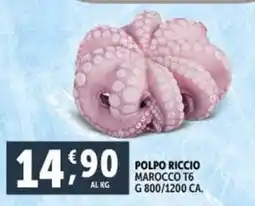 Deco Supermercati Polpo riccio marocco t6 offerta