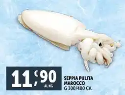 Deco Supermercati Seppia pulita marocco offerta