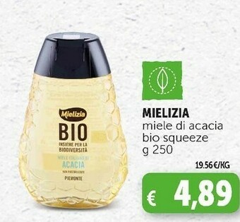 Deco Supermercati Miele di acacia bio squeeze 250 g offerta