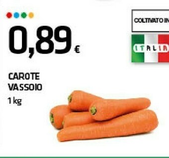Carote