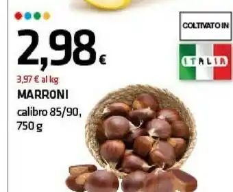 Superconti Castagne offerta